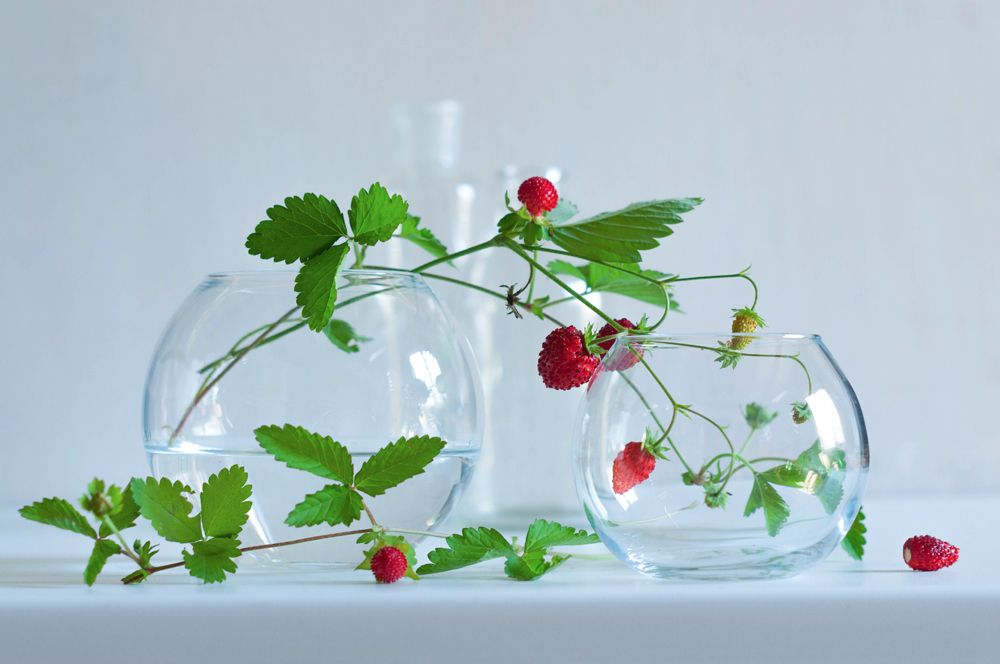 Photograph by Анжелика Королева