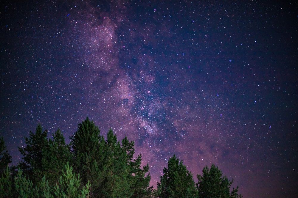 Photograph by Angelina Bukina