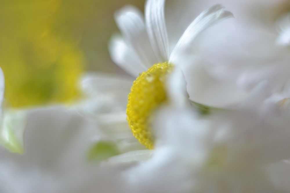 Photograph by Вера Васютина