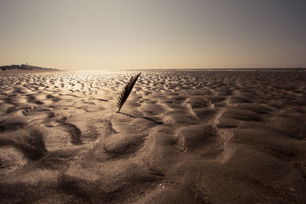 Photograph by Lara Maalouli
