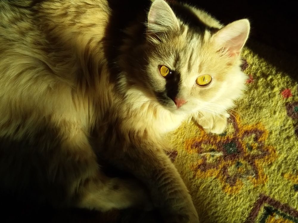 Photograph by Анастасия Кичигина