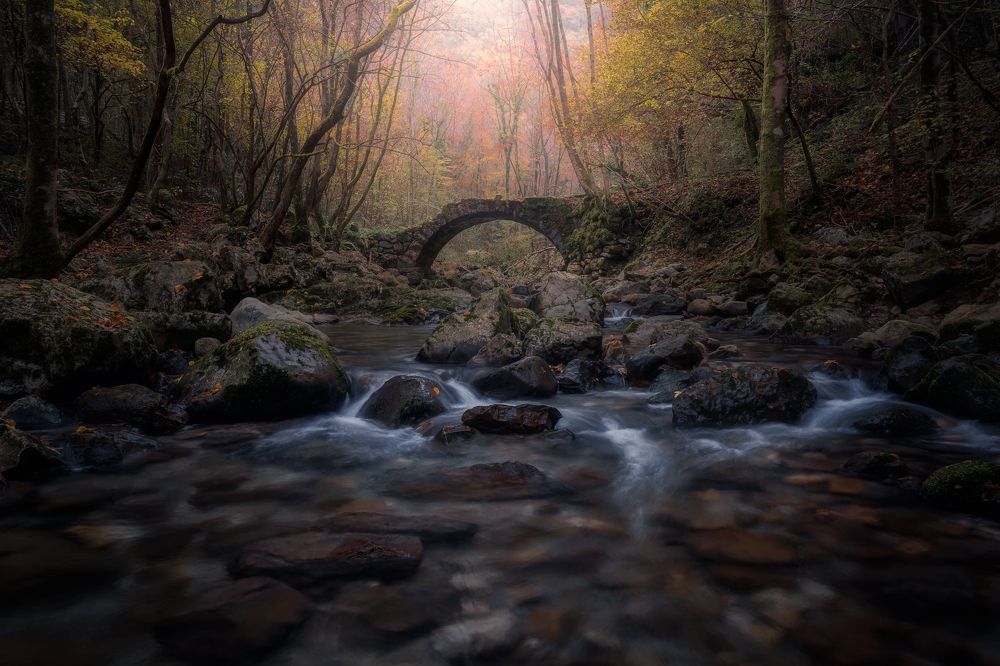 For a Taste of Eternity