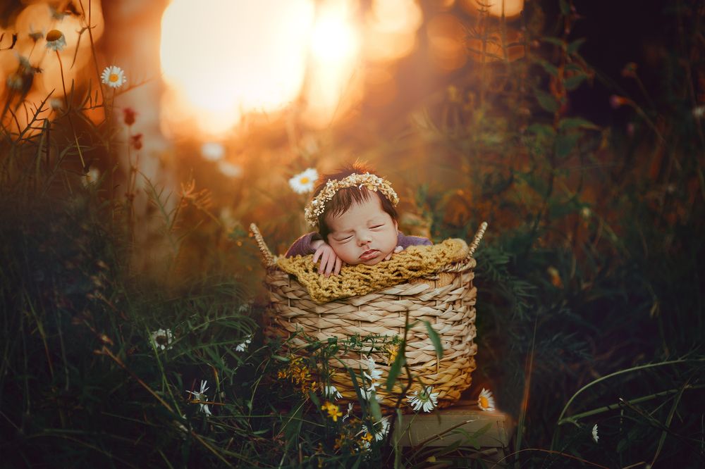 Photograph by Юлия Веденеева