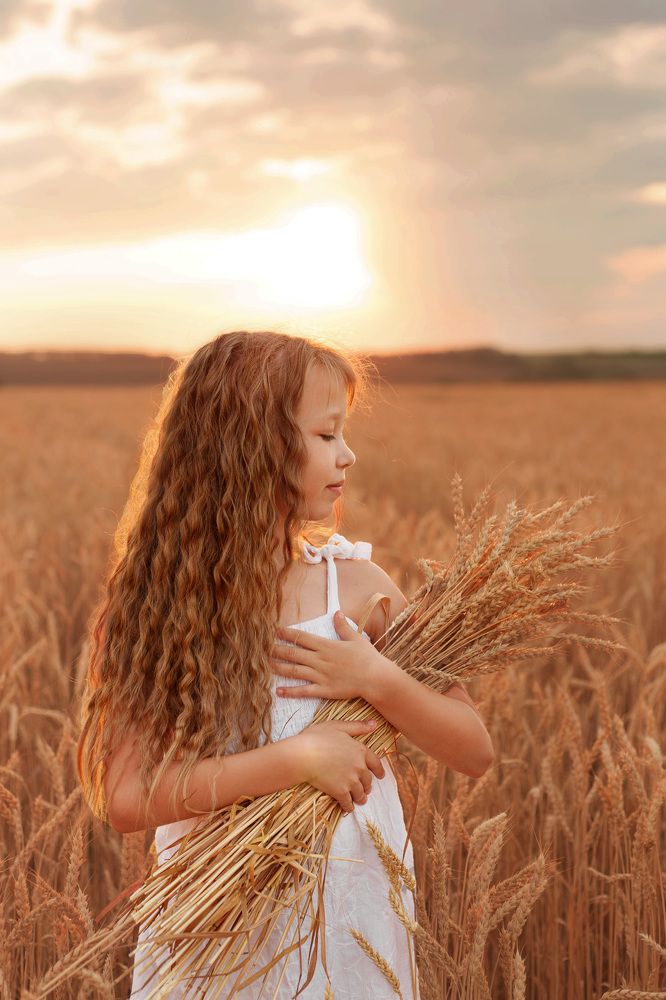 Закат в поле