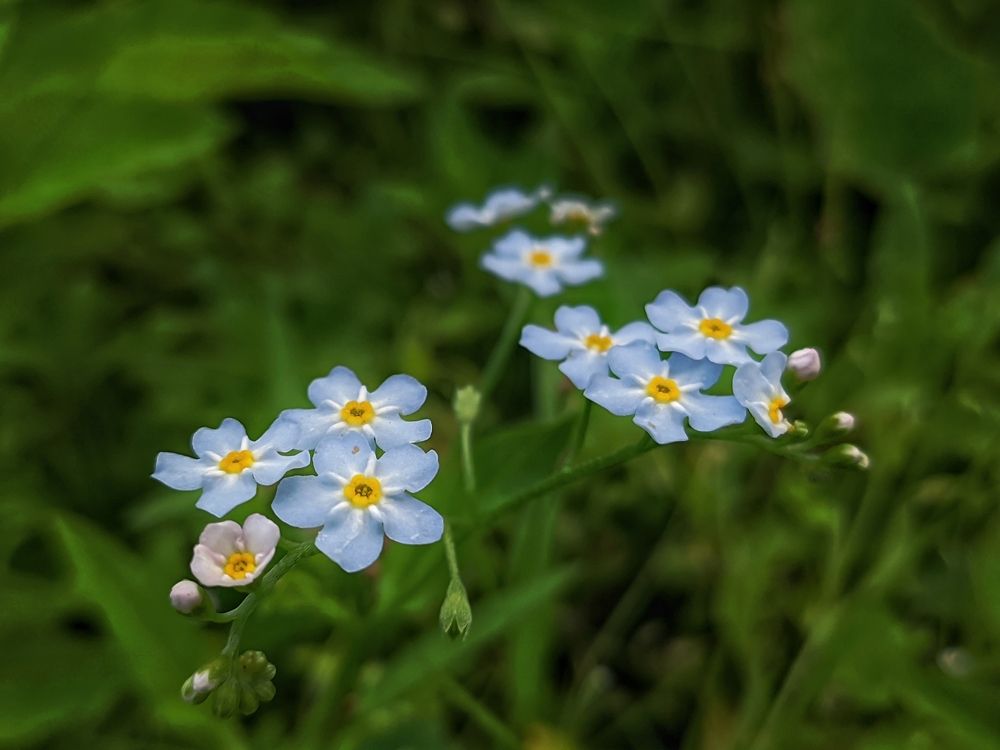 Photograph by Денис Пономарёв