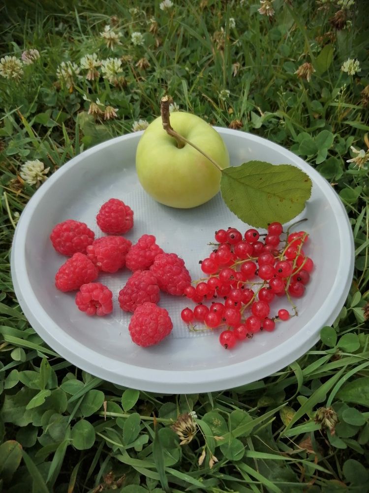 Краски лета 2021