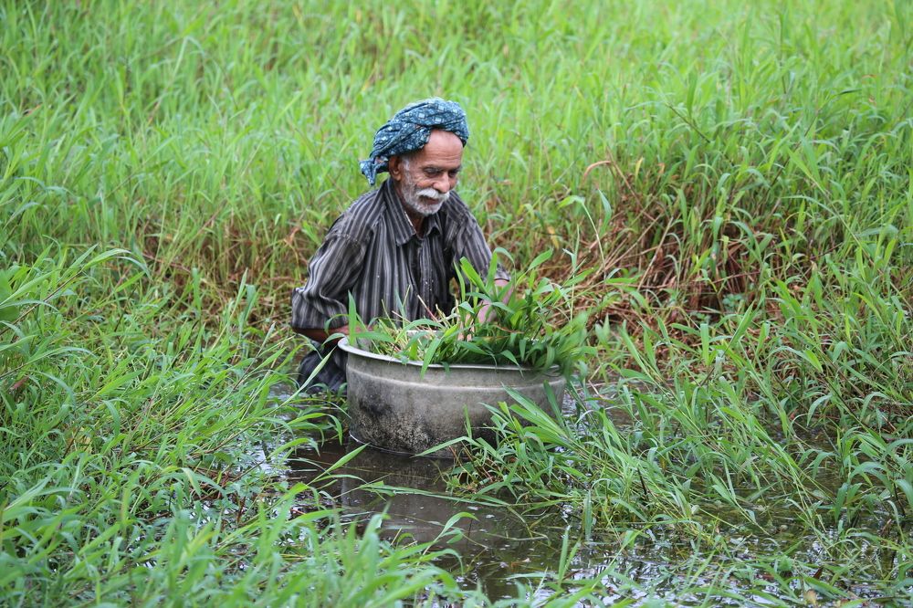 Photograph by Febin Francis