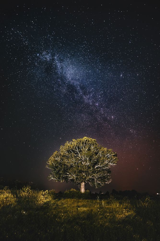 Photograph by Niranjan Baishya