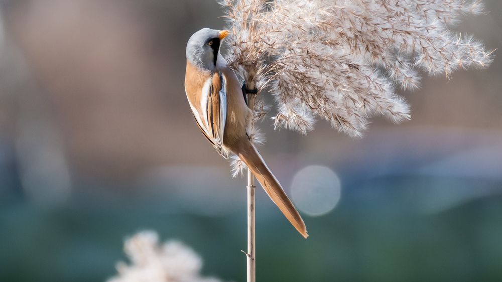 Photograph by Wojciech Kur