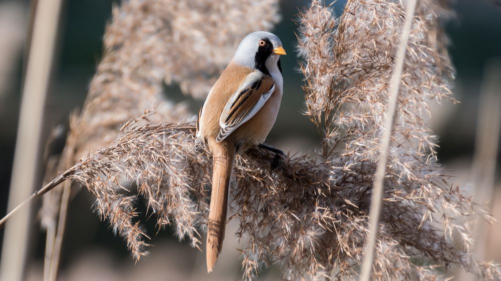 Photograph by Wojciech Kur