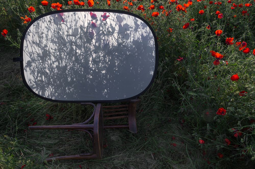 Photograph by Вероника Давыдова