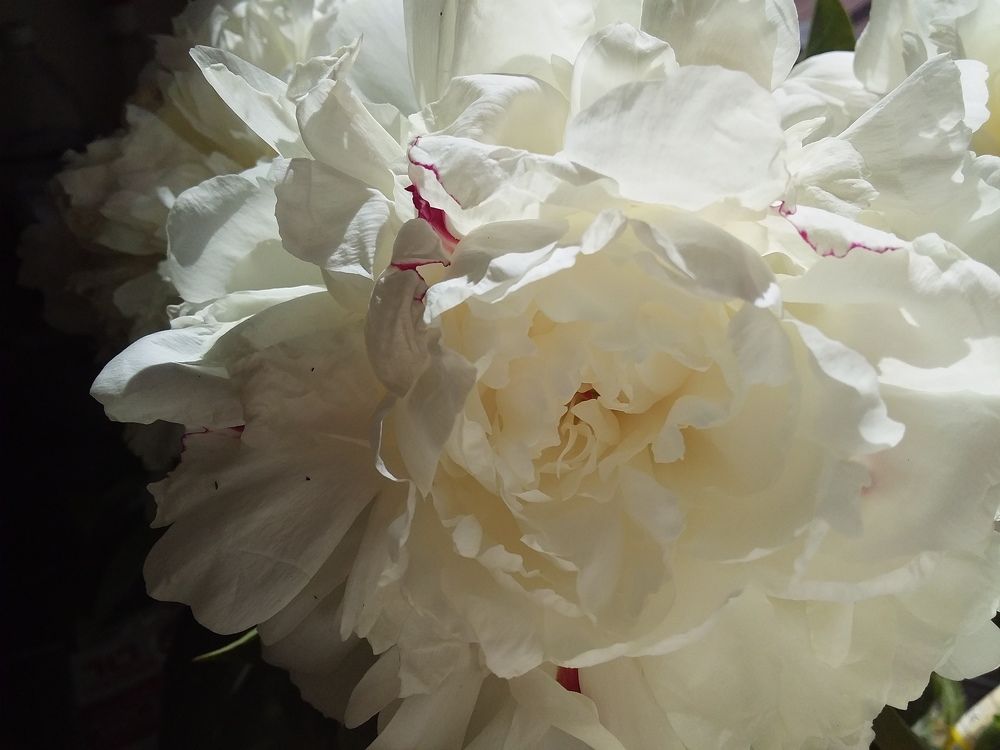 Photograph by Анастасия Кичигина