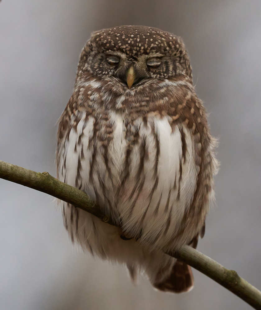 Photograph by Victor Krachkovsky