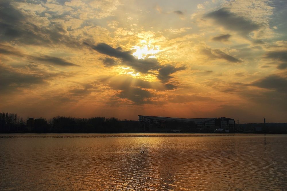 Photograph by 