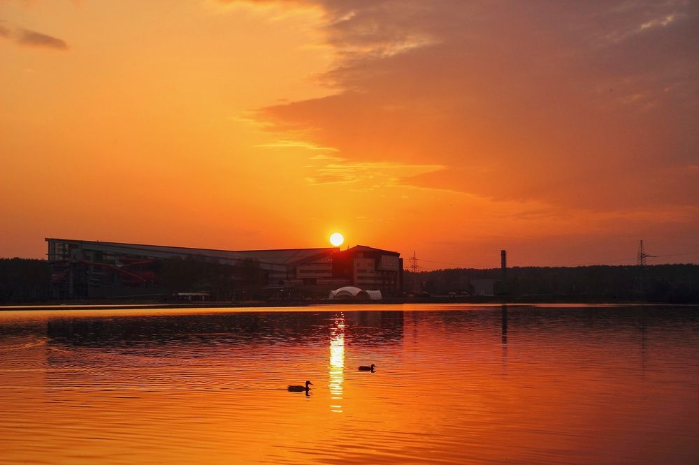 Photograph by 