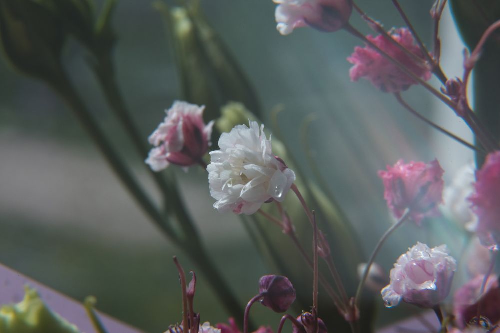 Photograph by Полина Артемина