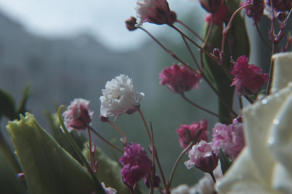 Photograph by Полина Артемина