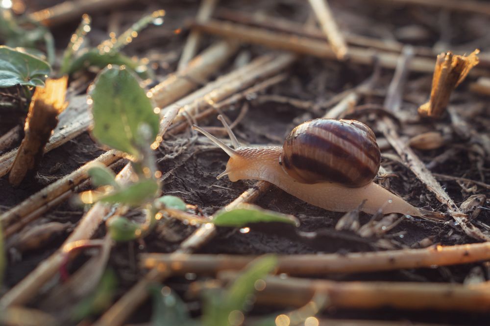 Photograph by Марина Голик