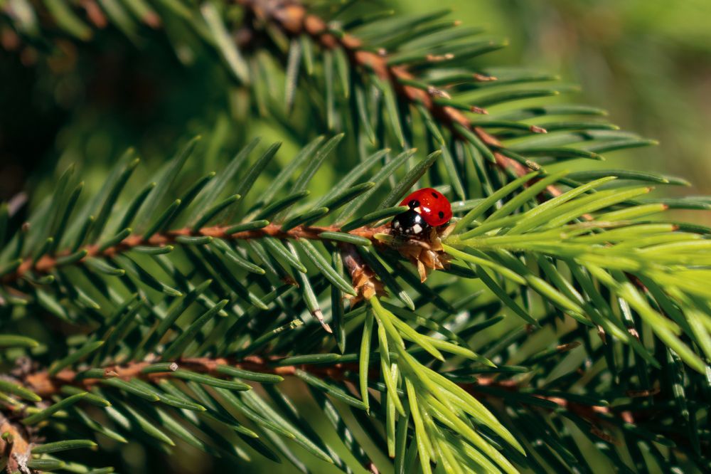 Photograph by Марина Голик