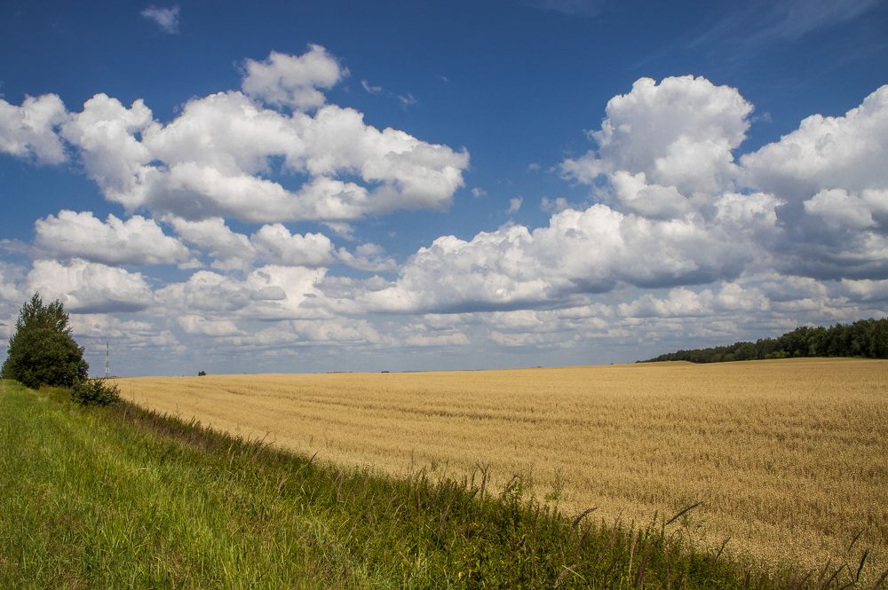 Июльский зной - 4