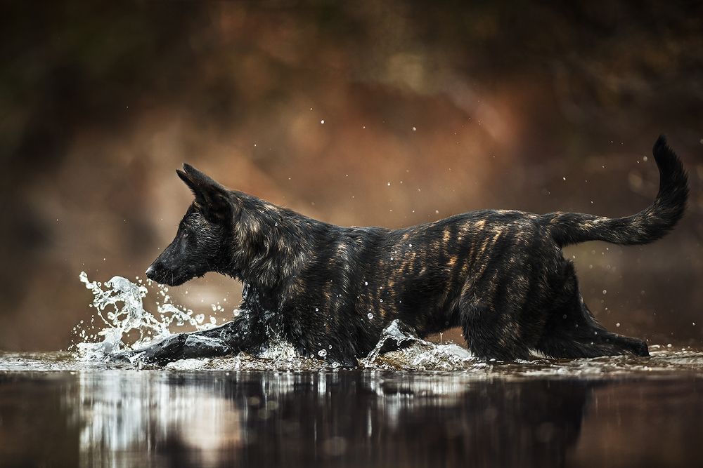 Photograph by Victoria Perron