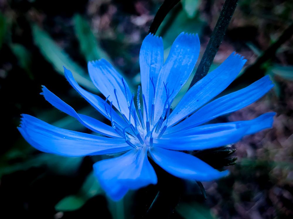 Photograph by Мардарь Татьяна
