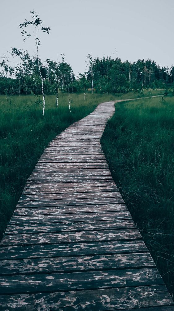 Photograph by Наталья Лубенец