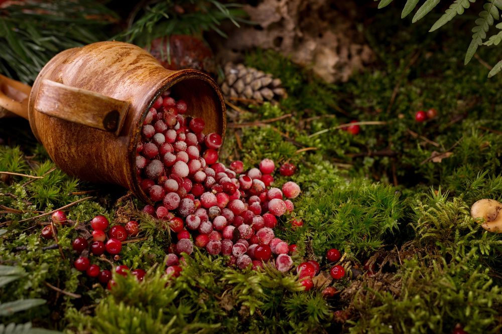 Photograph by Анна Айбетова