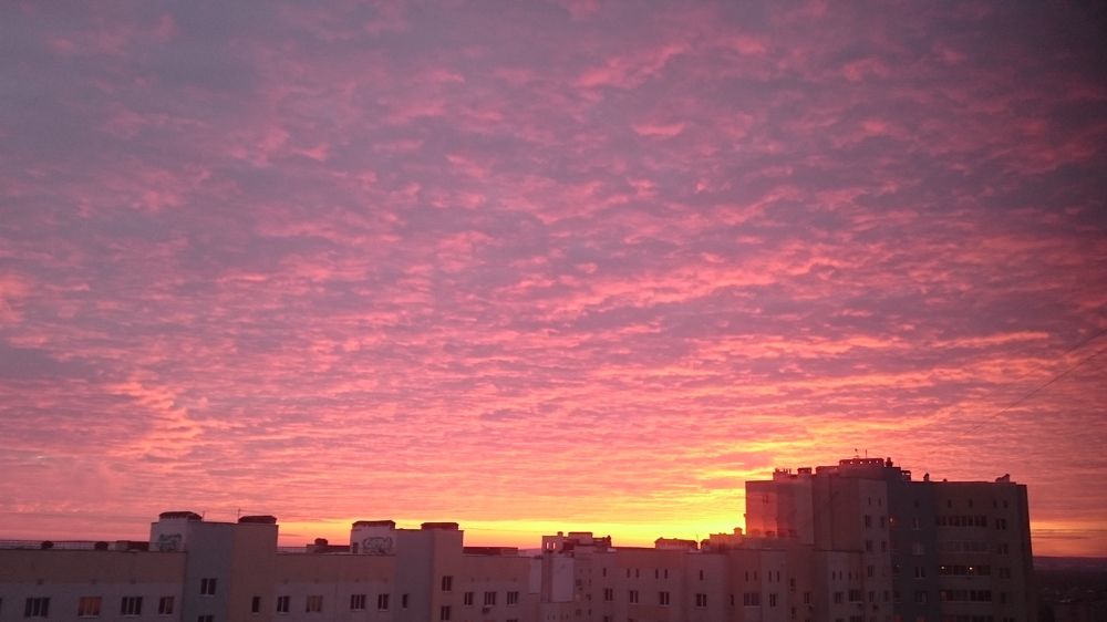 Photo #6367870