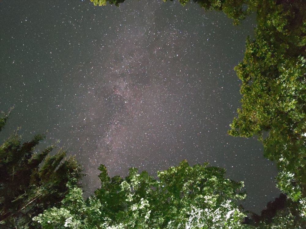 Photo #6367885