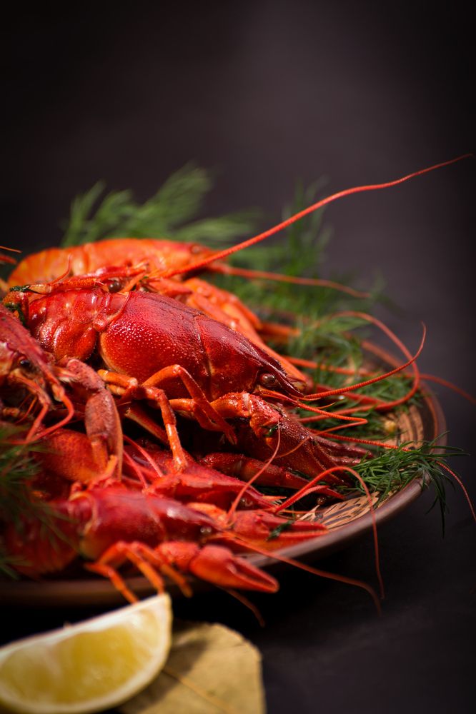 Photograph by Анна Айбетова