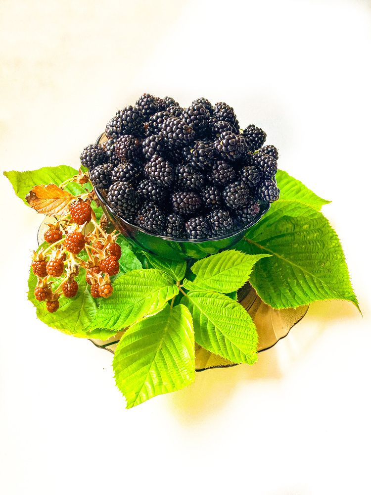 Photograph by Дмитрий Батейкин