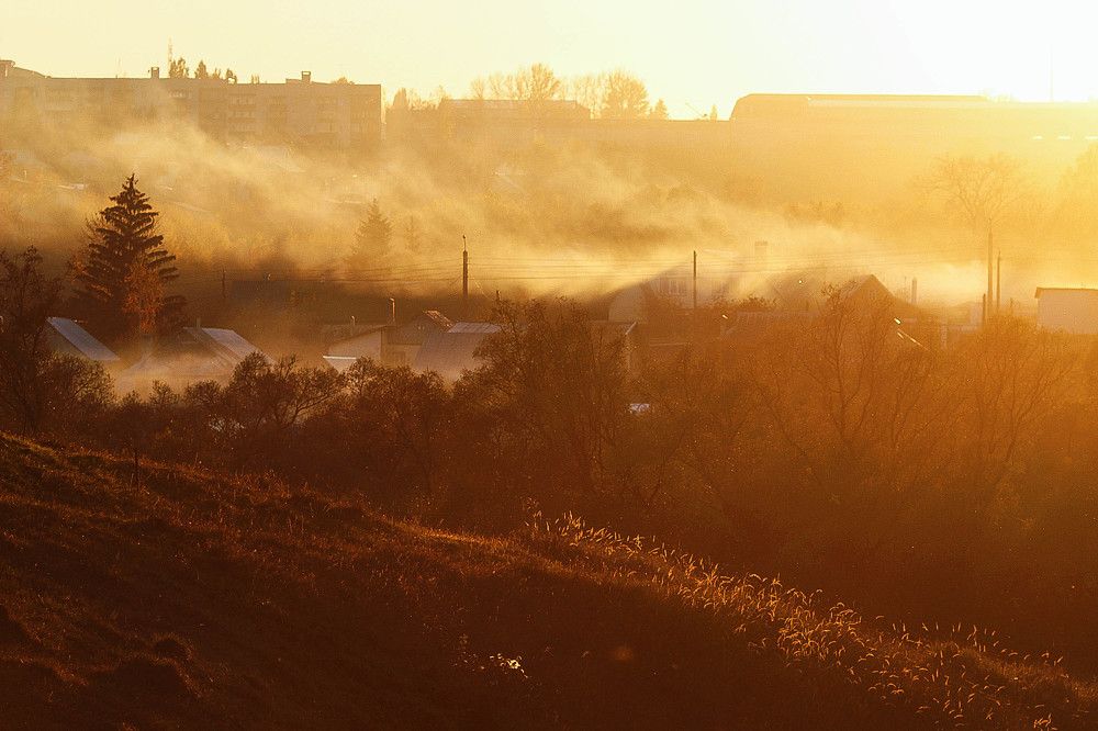 Photograph by Мария Некрасова