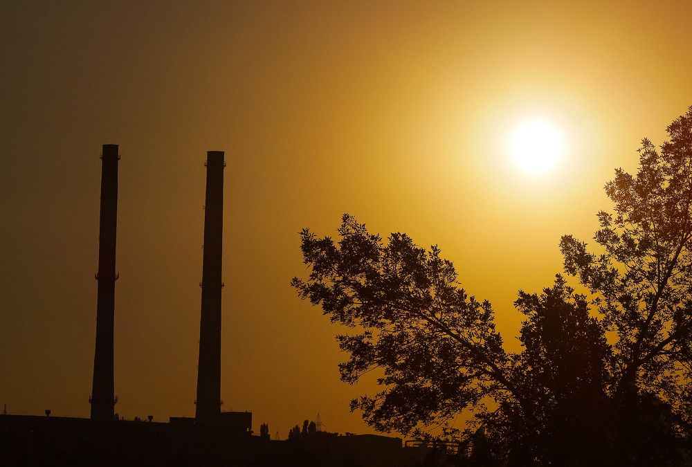 Photograph by Мария Попова