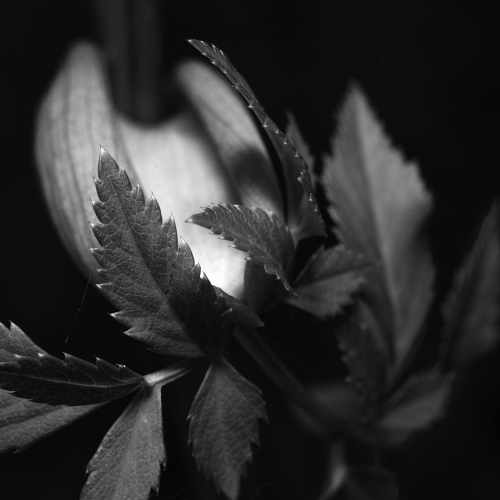 Фотография автора Eimar Kull