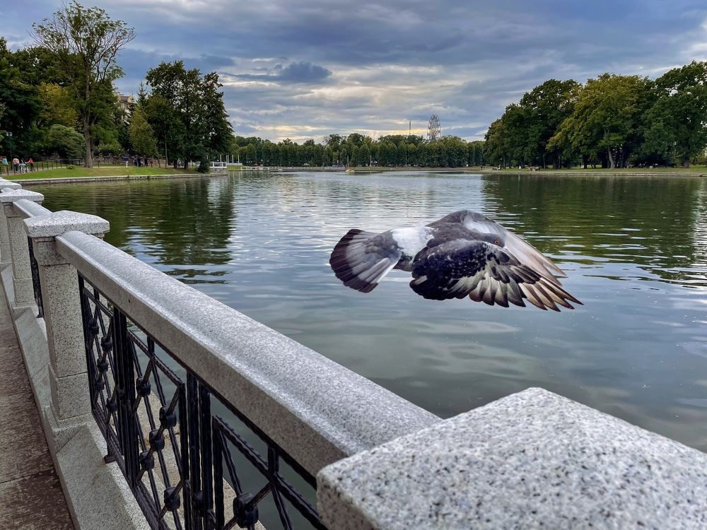 Фотография автора Бороненков Вадим
