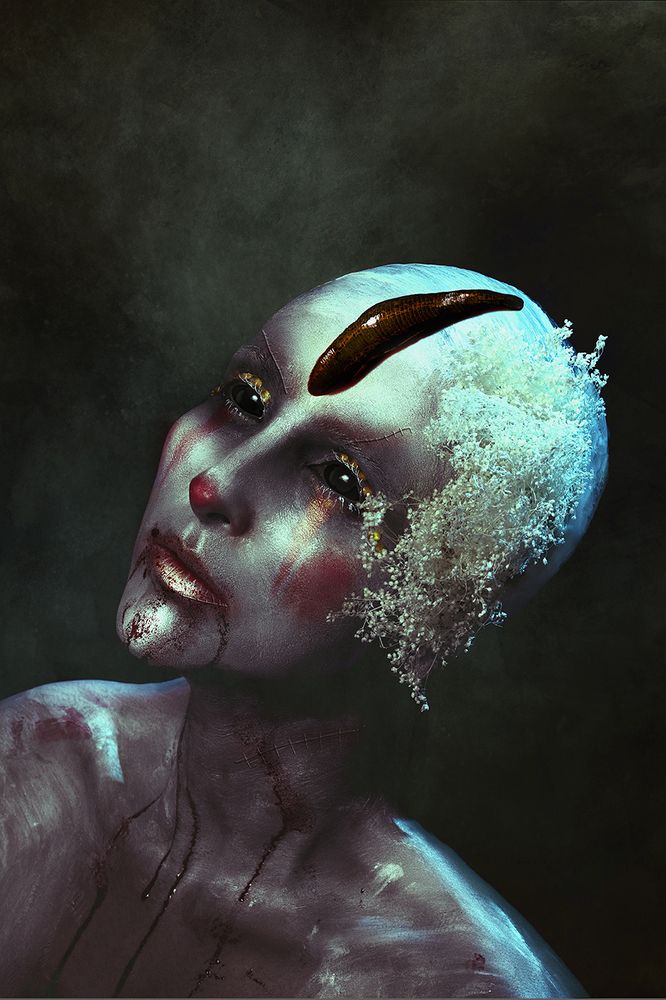 Photograph by Andrea Chavez