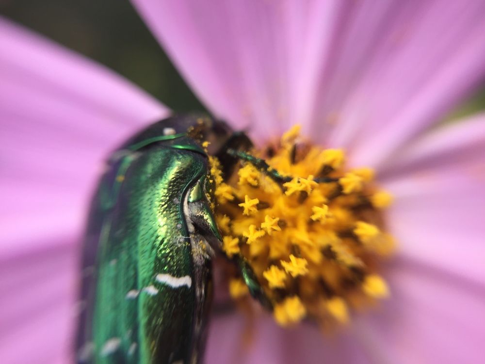 Photograph by Гульчачак Касымова