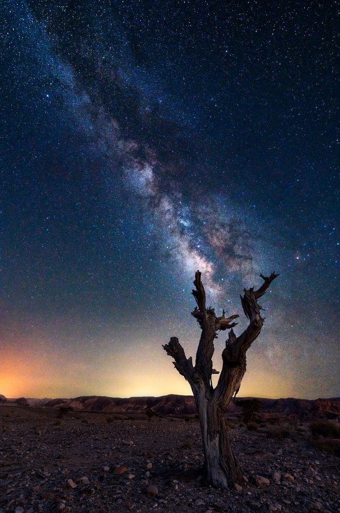 Photograph by Arie Burla