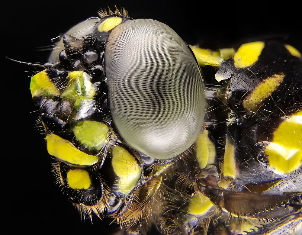 Photograph by champika chamod