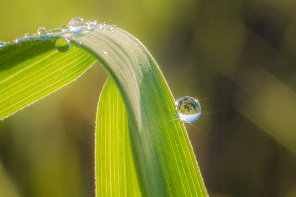 Photograph by Дмитрий Пасынков