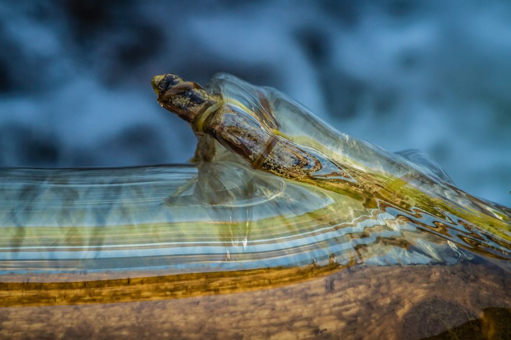 Photograph by Дмитрий Пасынков