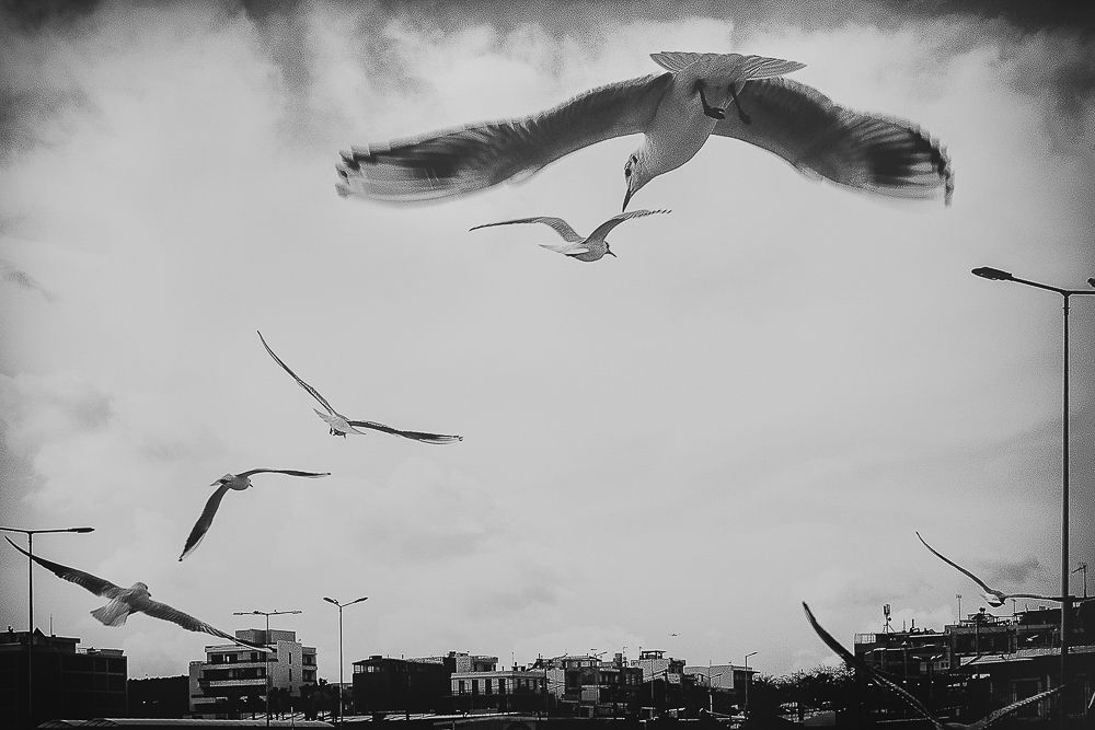 Photograph by Antonis Giakoumakis