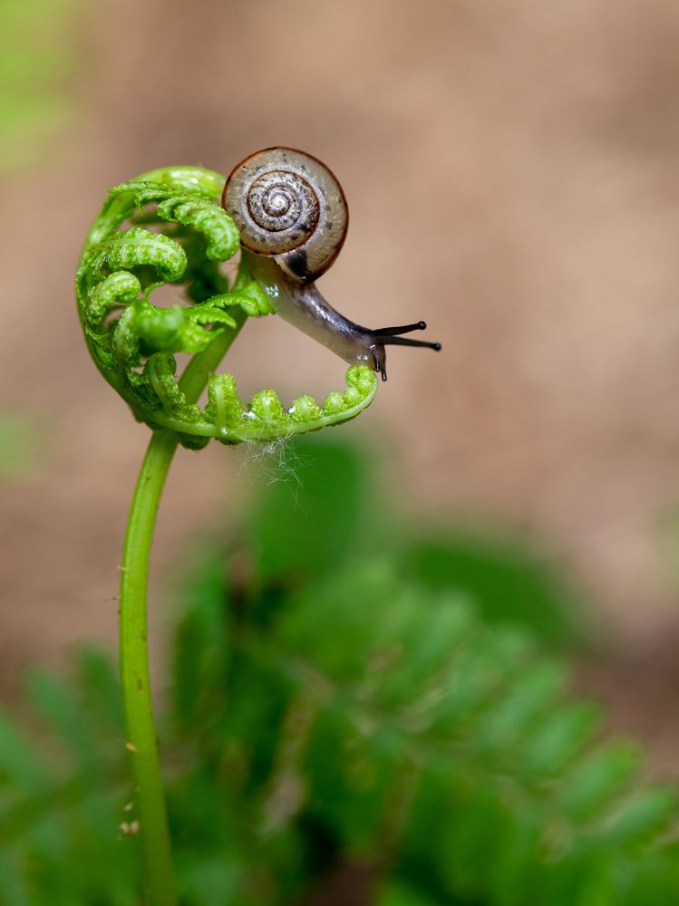 Photograph by Людмила Аксенова