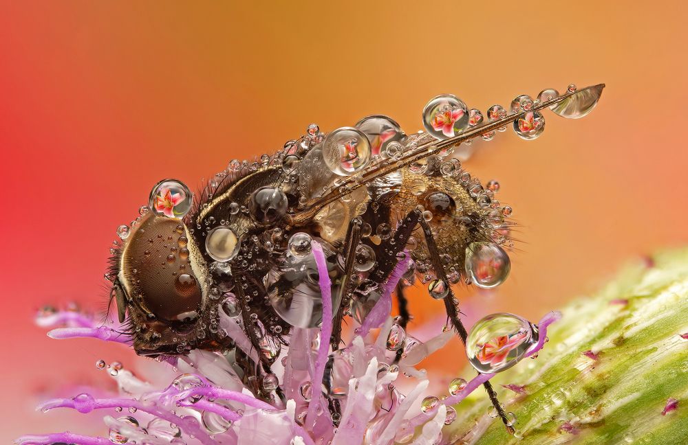 Photograph by Иван Радьков