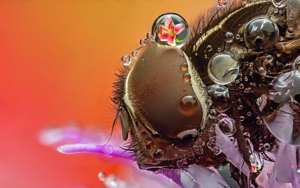 Photograph by Иван Радьков