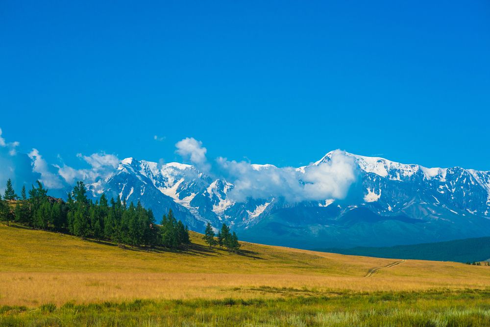 Фотография автора Виталий Гавронский