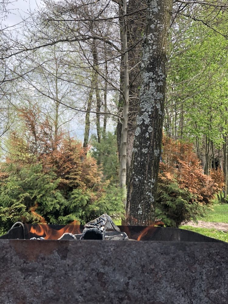 Photograph by Наталья