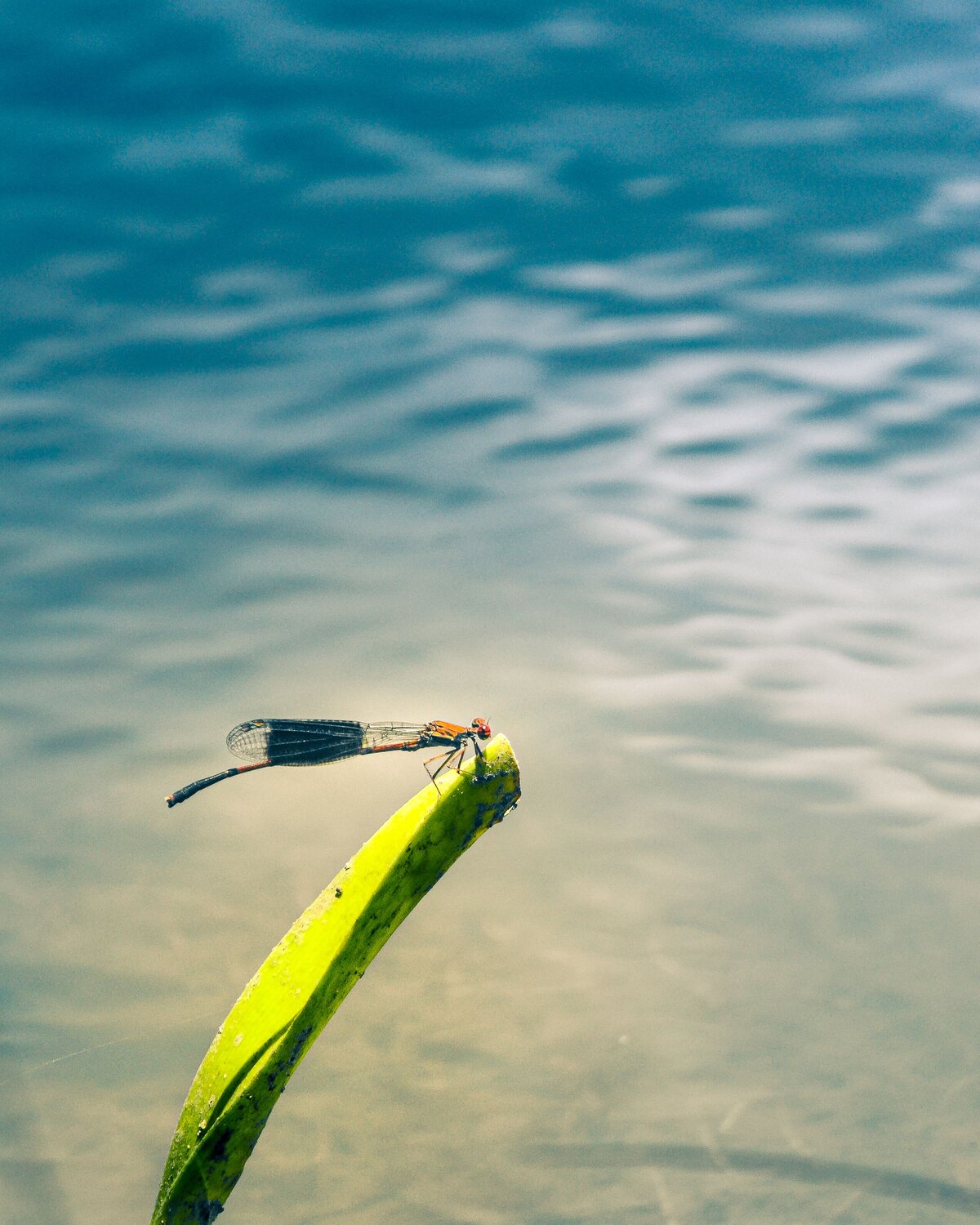Photo #6368853