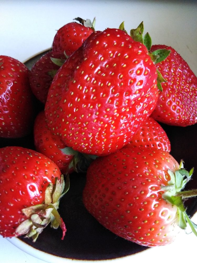 Photograph by Нелли Золотая